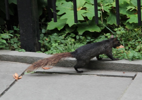 ���-����